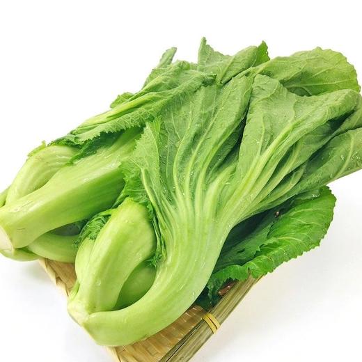 【BSS】芥菜 约600克 商品图0