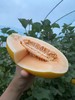 周日取货：【蛋仔派对黄金哈密瓜】一个3.5斤左右，甜蜜香甜，风味浓郁，果肉金黄！ 商品缩略图0