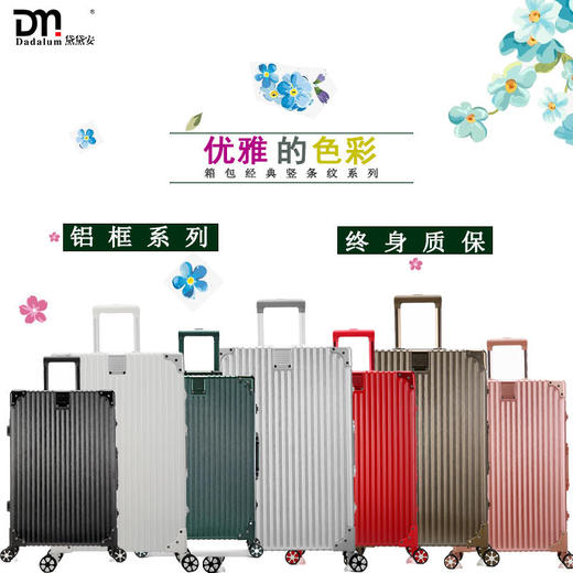 【黛黛安}黛黛安品牌24寸行李箱女复古铝框拉杆箱学生直角万向轮旅行箱包20寸男 商品图4