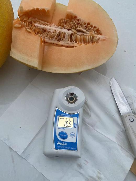 周日取货：【蛋仔派对黄金哈密瓜】一个3.5斤左右，甜蜜香甜，风味浓郁，果肉金黄！ 商品图6