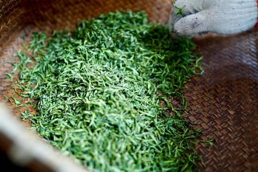 2025西山洞庭的明前碧螺春 商品图5