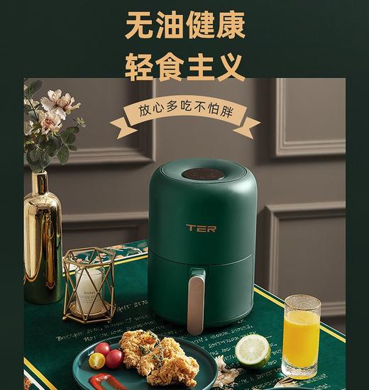 TER空气炸锅 商品图0