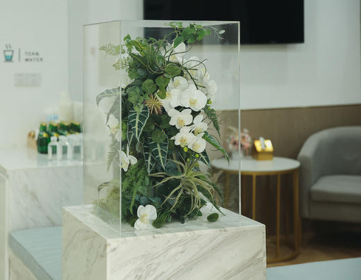 【全屋宅配】鲜花 绿植软装 庭院景观服务“勘察费” 商品图4