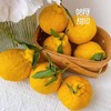 四川蒲江柠檬不知火 粑粑柑/丑橘 甘甜多汁 果肉细嫩！ 商品缩略图0