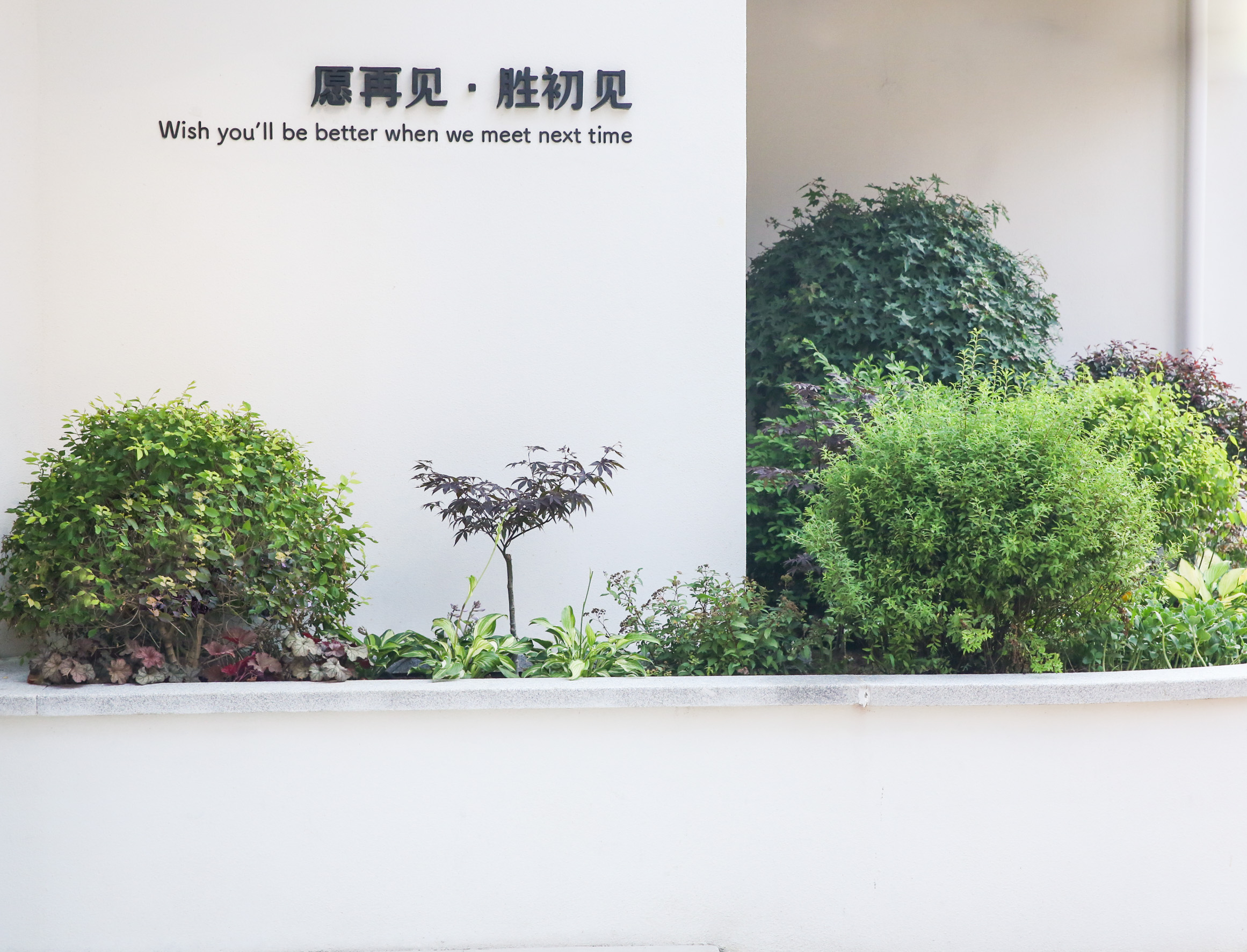 【全屋宅配】鲜花 绿植软装 庭院景观服务“勘察费”