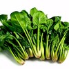 菠菜 商品缩略图1