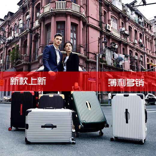 【黛黛安}黛黛安品牌熊猫款铝框拉杆箱20寸PC行李箱24寸旅行箱26寸一件代发 商品图1