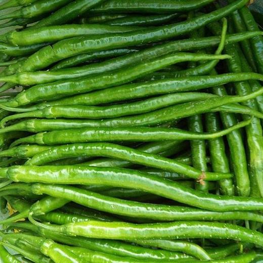 青线椒  350克 商品图1