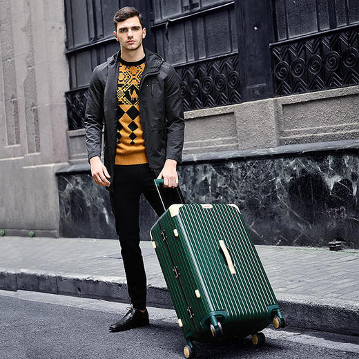 【黛黛安}黛黛安品牌熊猫款铝框拉杆箱20寸PC行李箱24寸旅行箱26寸一件代发 商品图2