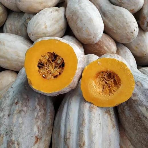 【BSS】南瓜 约500克 商品图1