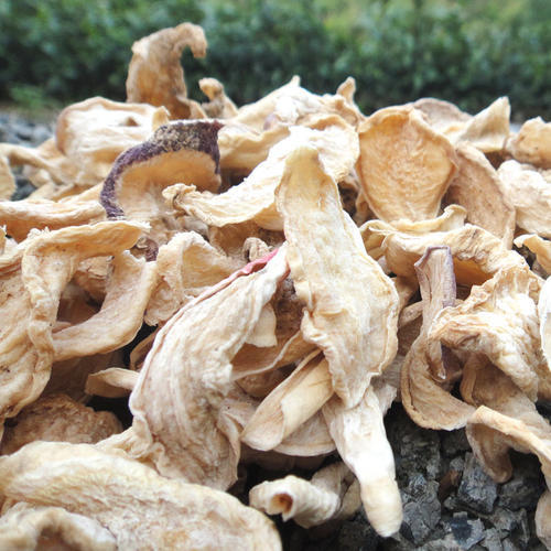 【BSS】萝卜皮 约100克 商品图0