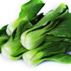 【BSS】上海青 约500克