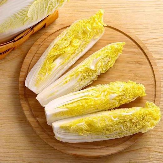 芽白 约500克 商品图0