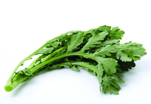 茼蒿   500克 商品图0