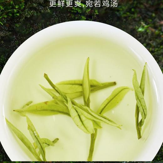 2021安吉白茶90g 庄园三宝（3*30g) 商品图2