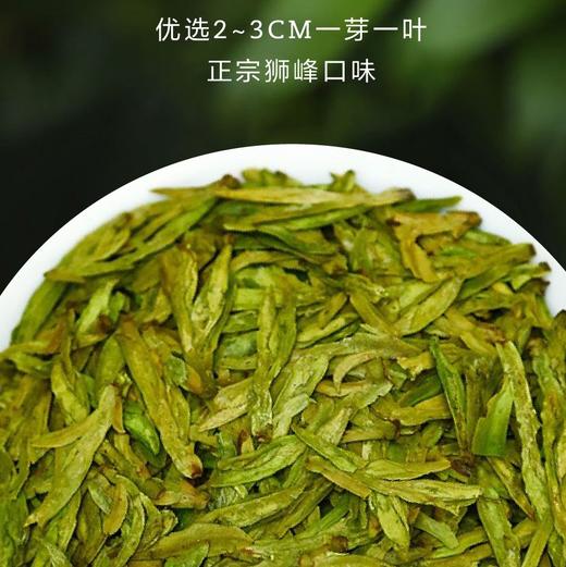 2026新茶 • 狮6龙井250克 经典产品(2*125g) 商品图2