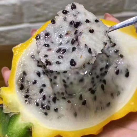 哥伦比亚 燕窝果，大果 商品图0