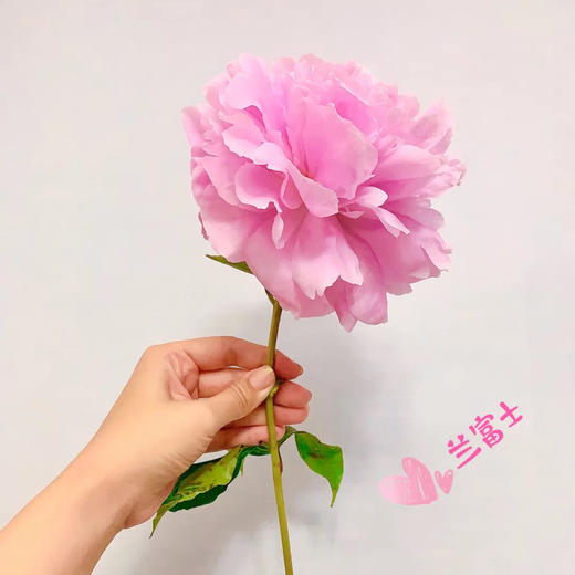 配花-芍药-兰富士-10支 商品图2