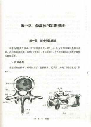 全面防治颈椎病新策略 从纠正颈椎生理弧度异常入手 邹季 熊勇 中国中医药出版社 认识颈椎病治疗方法精准治疗 商品图2