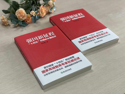 强国新征程：“十四五”时期的中国经济 商品图4