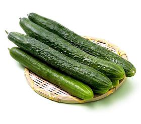 黄瓜 约500g