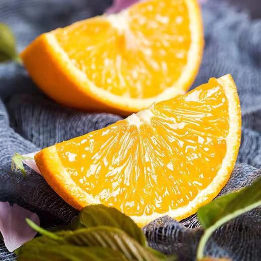 伦晚脐橙 商品图3