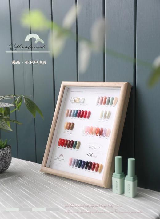 48色日式甲油胶 商品图2