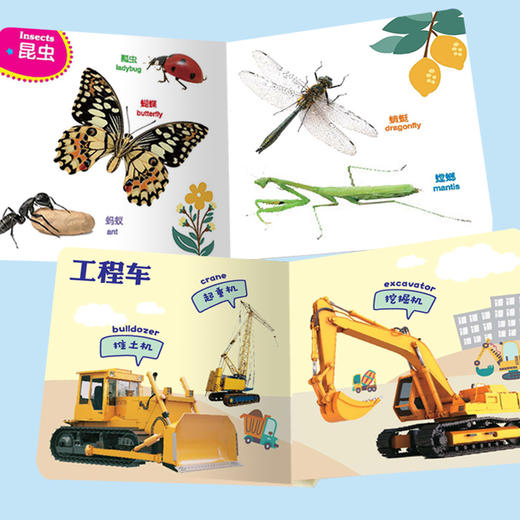 【启蒙认知】宝宝启蒙认知书（全8册） 商品图2