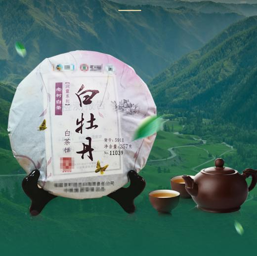 中茶老树白茶白牡丹茶饼2018年5911福鼎白茶357g 商品图0