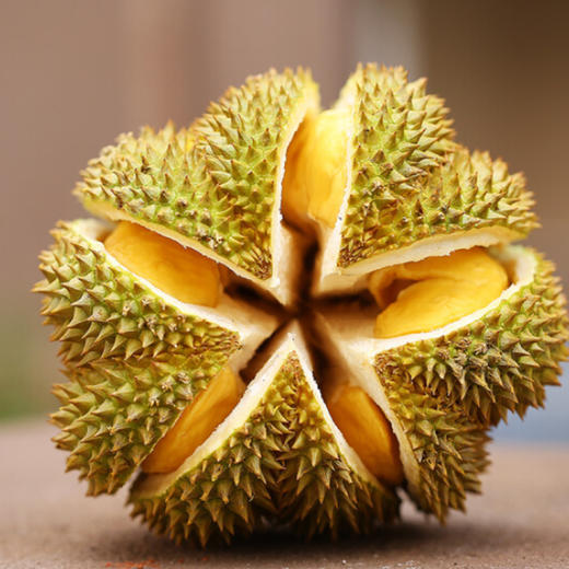 【泰国·甲伦榴莲】整只,剥开请备注,快递发货不支持开剥服务!