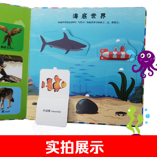 【5套团】 婴儿第一套启蒙翻翻书.认物 270*270mm超大开本 商品图3