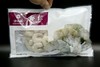 YP【越省越开心】壮元冰鲜大虾仁200g/袋 买8赠2 实发10袋 商品缩略图2