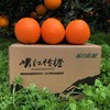 【严选】秭归伦晚脐橙大果4.5kg/箱（厂家直发） 商品缩略图0