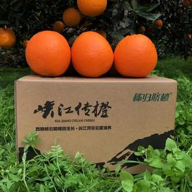 【严选】秭归伦晚脐橙大果4.5kg/箱（厂家直发）