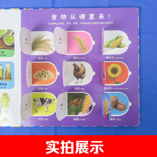【5套团】 婴儿第一套启蒙翻翻书.认物 270*270mm超大开本 商品图4