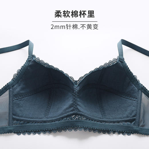 HSIA遐 内衣女无钢圈薄款全罩杯香榭落叶红色防露点大胸显小文胸 商品图4