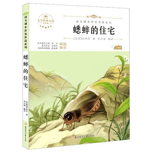 蟋蟀的住宅 青少本 商品图0