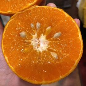 脏脏柑-今年吃到的一份浓郁橙香