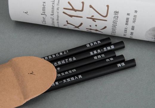 文化失忆:写在时间的边缘  [澳]克莱夫·詹姆斯 商品图1