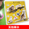 【5套团】 婴儿第一套启蒙翻翻书.认物 270*270mm超大开本 商品缩略图2