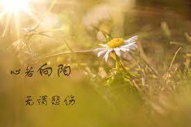 【勿动】交易UI自动化-1617062453177 商品图0