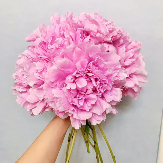 配花-芍药-兰富士-10支 商品图0