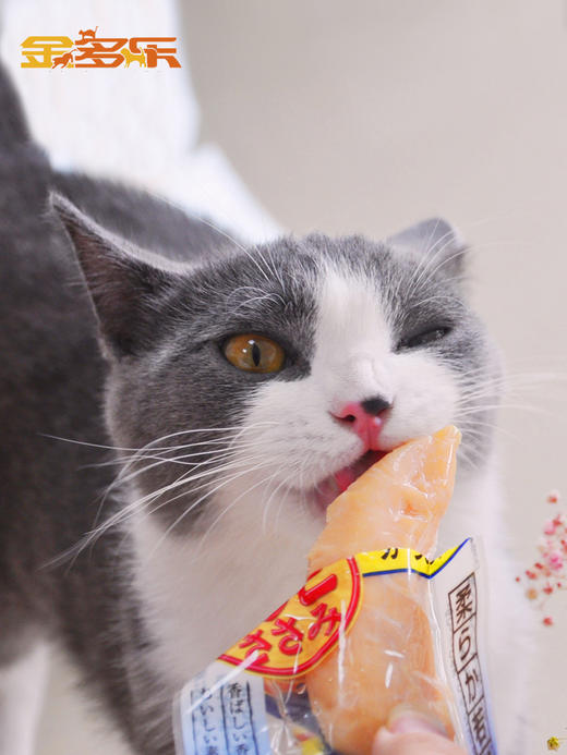 伊纳宝水煮鸡肉猫咪零食 商品图3