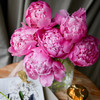 配花-芍药-兰富士-10支 商品缩略图3