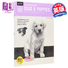 【中商原版】如何绘画系列：狗 英文原版 Drawing: Dogs & Puppies: Learn to draw step by step (How to Draw & Paint) 素描技 商品缩略图0