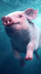 zc-抽奖 商品图0