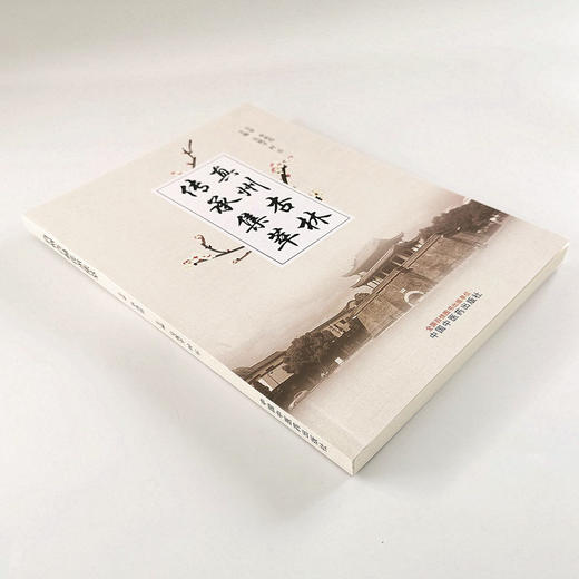 现货 正版 速发 真州杏林传承集萃 吴祝平 时乐 编著 中国中医药出版社 名医验方 跟师学医 临证心悟 外治验方 中医书籍 商品图5