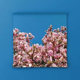 晚安书店No.29|爱的气味：春天从这里开始