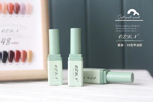 48色日式甲油胶 商品图3