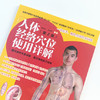 人体经络穴位使用详解（第2二版）雎明河 著 中国中医药出版社十二五十三五规划教材针灸学 经络腧穴学指定用图 商品缩略图3